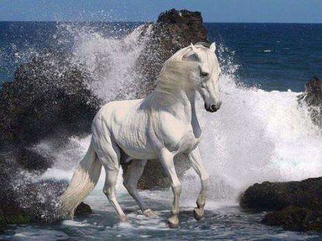 Пословицы про ожидание. Ожидание. откажись от ожидания. будь сейчас. цитаты про ожидания. То, во что ты веришь, становится твоим миром