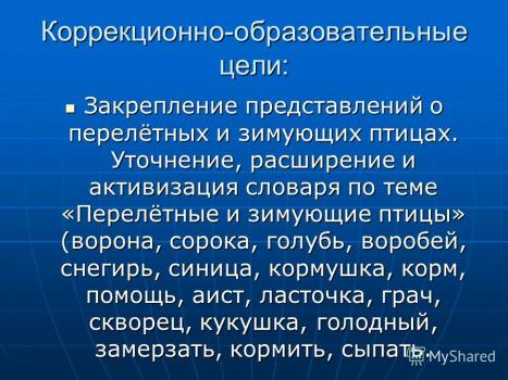 Презентация 